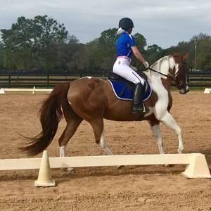 Meet your Posher, Chelseä